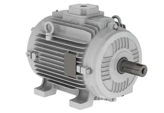 Weg electric motors South Africa